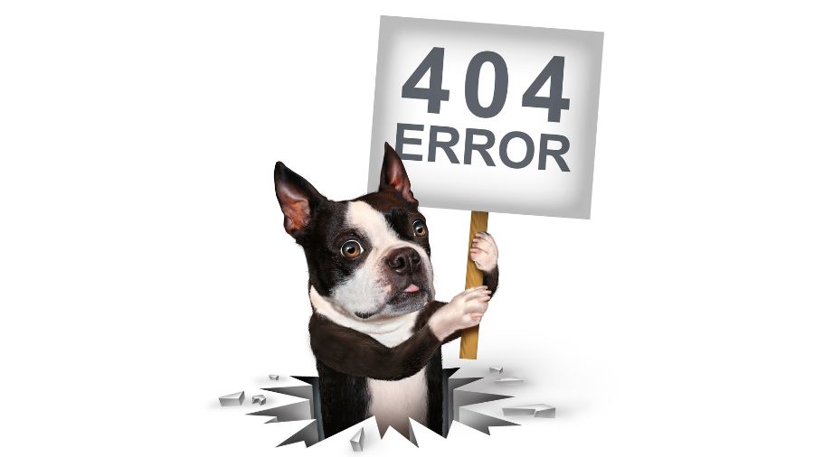 404